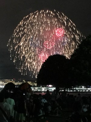 夏の風物詩♪