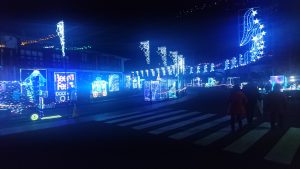 フルイルミ。