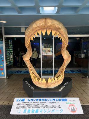 久しぶりの水族館