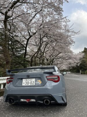 お花見に行ってきました。