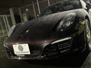 New arrival information⑳