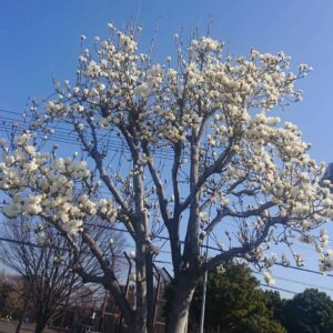 あの時から15年