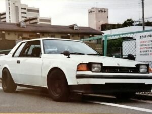 世界限定車